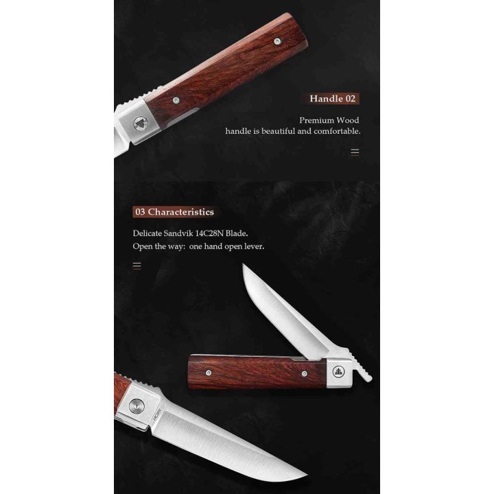 Couteau TRIVISA Dolphin-J Lame Drop Point Acier 14C28N Satinée Manche Bois Liner Lock TVYZ04JSZ - Livraison Gratuite