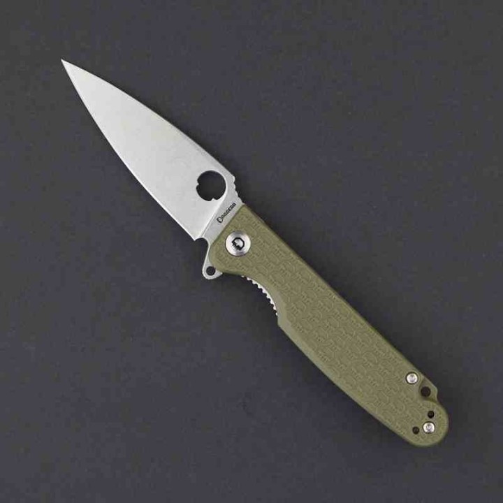 Couteau Daggerr Florin Lame Acier 8Cr14MoV SW Manche FRN OD Green Linerlock Clip DGRFLMNOLSW - Livraison Gratuite