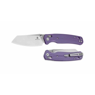 Couteau BESTECHMAN CICADA'S WING Lame Acier 10Cr15Mov Manche Purple G10 B-Lock BTKMK06M - Livraison Gratuite