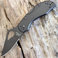 Couteau Spyderco Byrd Robin 2 Lame Acier 8Cr13MoV Manche Acier BY10BKP2 - Livraison Gratuite