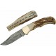Couteau Damas Lame 128 Couches Manche Bois de Cerf Dos Guilloché DM1161 - Livraison Gratuite
