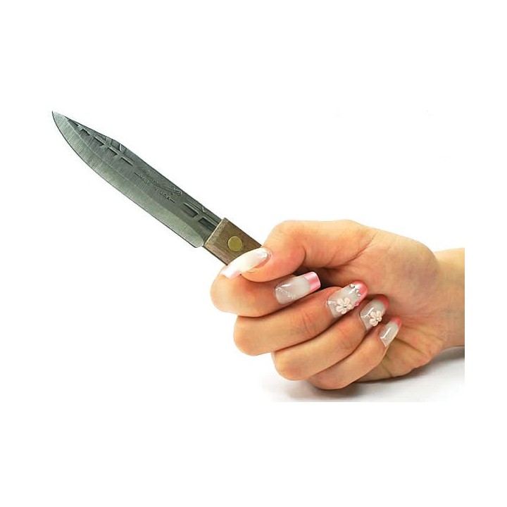 Lot de Couteaux - 5 Couteaux Buschraft de Camp Acier Carbone Made In USA OH705 - Livraison Gratuite