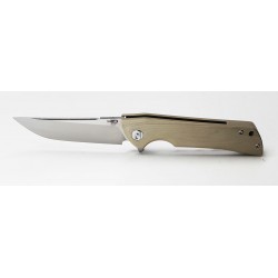 Couteau Bestech Paladin Tan Lame Acier D2 Manche G-10 Linerlock Clip roulement à billes céramique BTKG13B1 - Livraison Gratuite