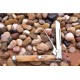 Couteau Rough Rider The Pipe Doctor Tobacco Bone Lame 440 Manche Os RR1899 - Livraison Gratuite