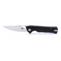 Couteau Bestech Knives Muskie Black Lame Acier D2 Manche G-10 Linerlock BTKG20A1 - Livraison Gratuite