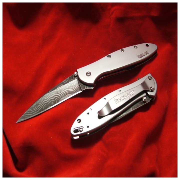 Couteau KERSHAW DAMAS LEEK KS1660DAM