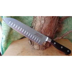 Lot de 10 Couteaux de Cuisine Santoku Lame Forgée Acier Carbone/Inox Manche Abs C1602A - Livraison Gratuite