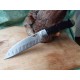 Couteau De Cuisine Santoku EDC Lame Acier 440 Manche G10 Lockback Rough Rider RR2196 - Livraison Gratuite