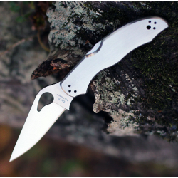 Couteau Spyderco Byrd Harrier 2 Stainless Lame Acier 8Cr13MoV Manche Acier Lockback Clip BY01P2 - Livraison Gratuite