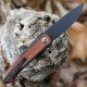 Couteau We Knife Smooth Sentinel Cuibourtia Lame Acier CPM-20CV Manche Titane/Bois IKBS Framelock WE200433 - Livraison Gratuite