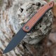 Couteau We Knife Smooth Sentinel Cuibourtia Lame Acier CPM-20CV Manche Titane/Bois IKBS Framelock WE200433 - Livraison Gratuite