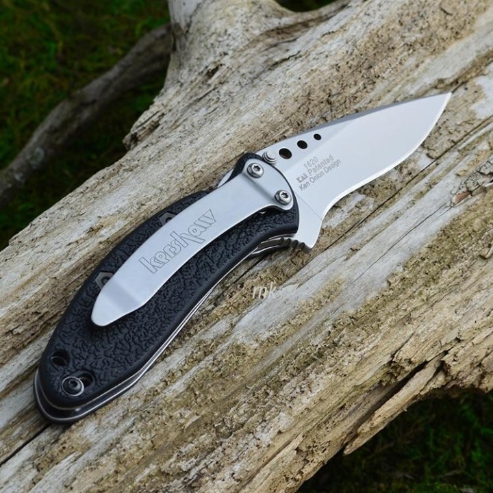 Couteau Kershaw Scallion A/O Ouverture Assistée Acier 420 Manche FRN Made In USA KS1620 - Livraison Gratuite