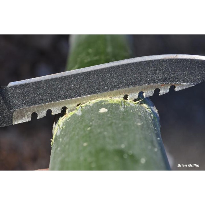 Couteau de Survie Tops Ranger Bootlegger Acier Carbone 1095 Tops Knives Made In USA TPRBL02 - Livraison Gratuite