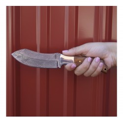 Couteau BucknBear Recurve Wood Hunter Lame Damas Manche Bois Etui Cuir BNB24124 - Livraison Gratuite