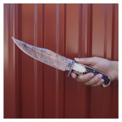 Couteau BucknBear Kings Stag Bowie Lame Acier Damas 256 Couches Manche Bois de Cerf Etui Cuir BNB123213 - Livraison Gratuite