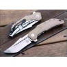 Couteau Begg Knives Astio Tan Lame Tanto D2 Manche G10/Stainless IKBS Framelock Clip BG009 - Livraison Gratuite
