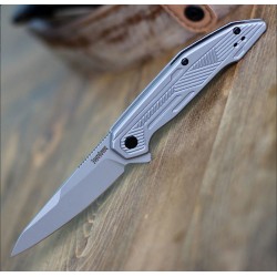 Couteau Kershaw Terran A/O Lame Acier 8Cr13MoV Manche Acier Framelock Clip KS2080 - Livraison Gratuite