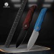 Couteau Petrified Fish ElCamino Blue Manche Micarta Lame Acier N690 SW IKBS Liner Lock Clip PFKE16BMGAW - Livraison Gratuite