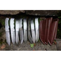 Lot de 8 Lames Damas 256 Couches à Customiser Lames seules A Monter Les Manches + Etuis - Livraison Gratuite