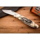Couteau Rough Ryder Large Swayback Whittler Lames Acier 440 Manche Os Cerfé Slip Joint RR2575 - Livraison Gratuite