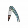 Couteau QSP Dolphin Abalone Lame Acier 14C28N Miroir Manche Abalone Liner Lock KIVT QS161D - Livraison Gratuite