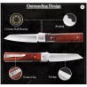 Couteau TRIVISA Dolphin-F Lame Tanto Reverse Acier 14C28N Satinée Manche Bois Liner Lock TVYZ04FSZ - Livraison Gratuite
