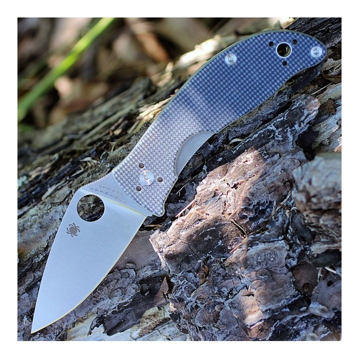 Couteau Spyderco Alcyone Lame Acier CTS BD1 Manche G-10 Grey Linerlock Clip SC222GPGY - Livraison Gratuite