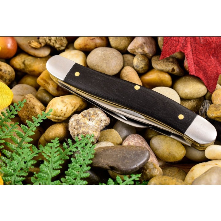 Couteau Kershaw Brandywine Slip Joint Lames Acier 7Cr17MoV Manche G10 KS4382 - Livraison Gratuite