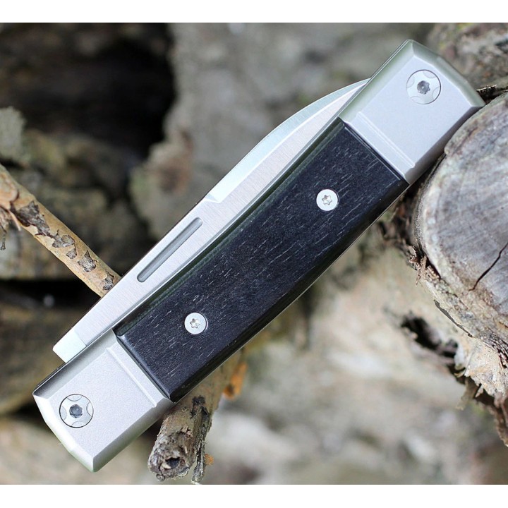 Couteau LionSteel BestMan BM2 Lame Acier M390 Manche Ebène/Titane Made Italy LSTBM2EB - Livraison Gratuite