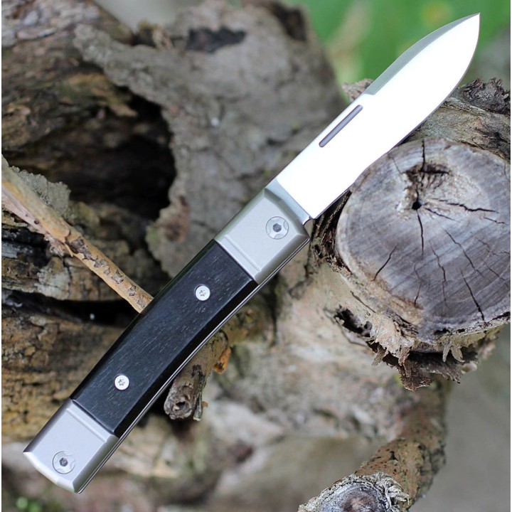 Couteau LionSteel BestMan BM2 Lame Acier M390 Manche Ebène/Titane Made Italy LSTBM2EB - Livraison Gratuite