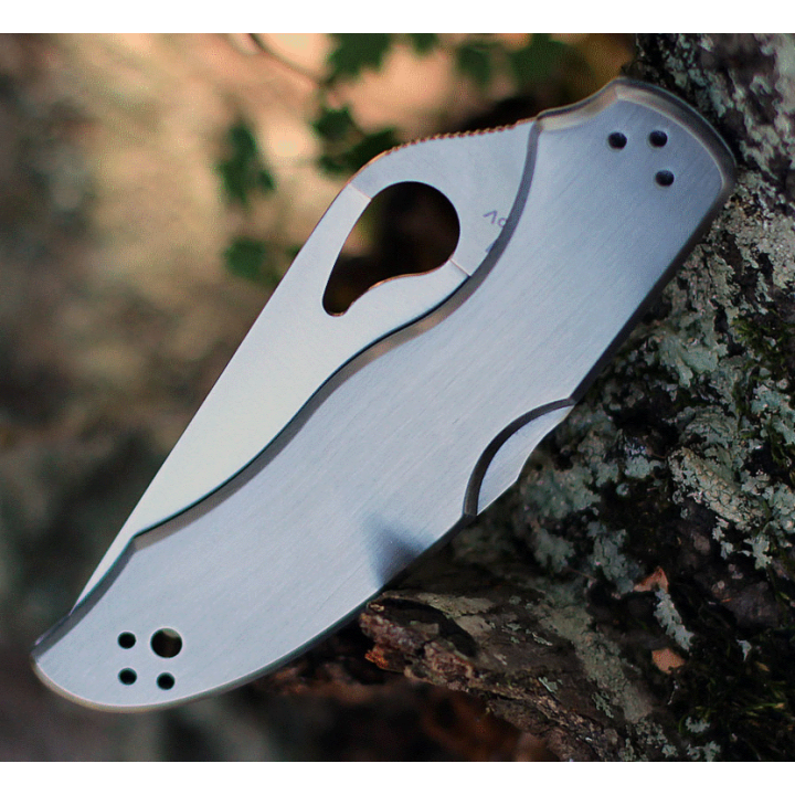 Couteau Spyderco Byrd Harrier 2 Stainless Lame Acier 8Cr13MoV Manche Acier Lockback Clip BY01PS2 - Livraison Gratuite