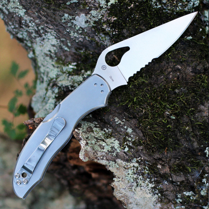Couteau Spyderco Byrd Harrier 2 Stainless Lame Acier 8Cr13MoV Manche Acier Lockback Clip BY01PS2 - Livraison Gratuite