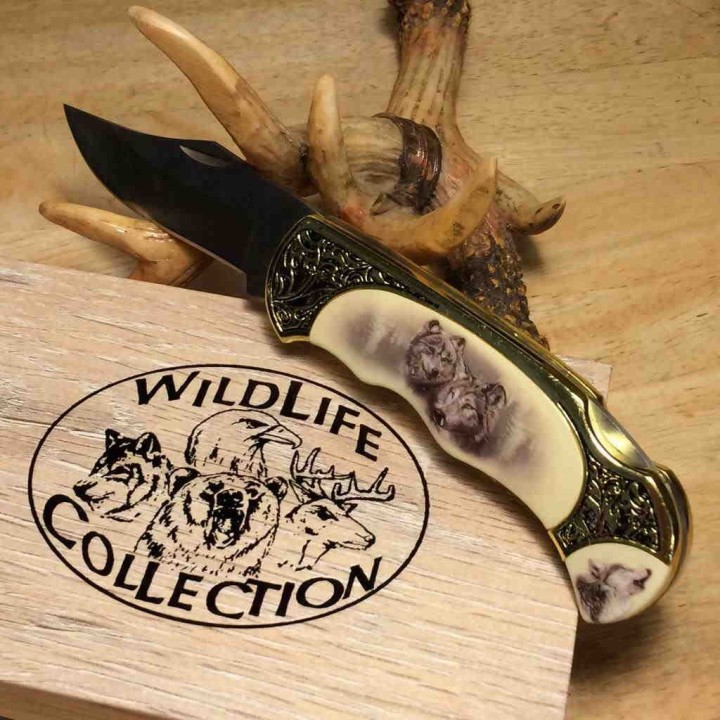 Couteau Wolf Lame Acier Inox Manche Laiton & Os Boite Collector CN211411WF - Livraison Gratuite