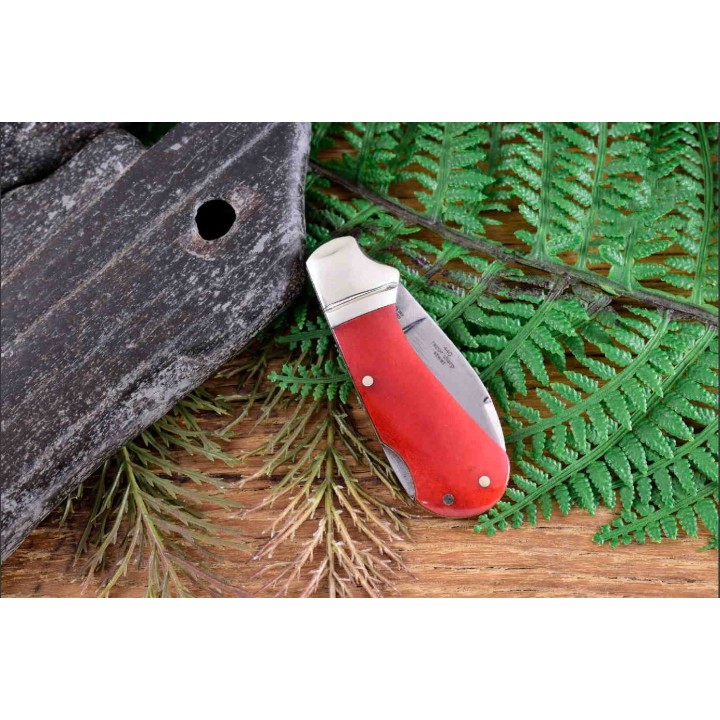 Couteau Canif Rough Rider Cub Red Bone Lame Acier 440 Manche Os Lockback RR2227 - Livraison Gratuite