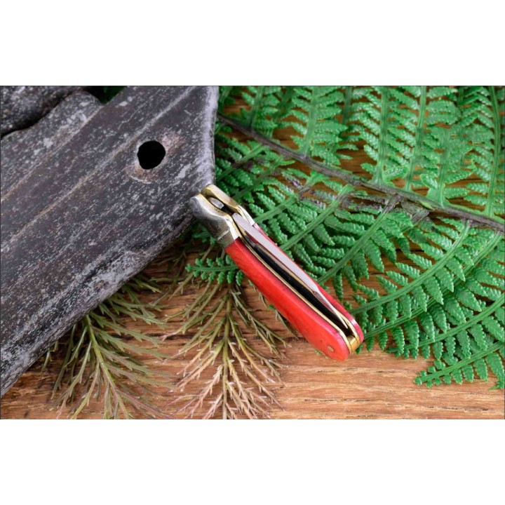 Couteau Canif Rough Rider Cub Red Bone Lame Acier 440 Manche Os Lockback RR2227 - Livraison Gratuite