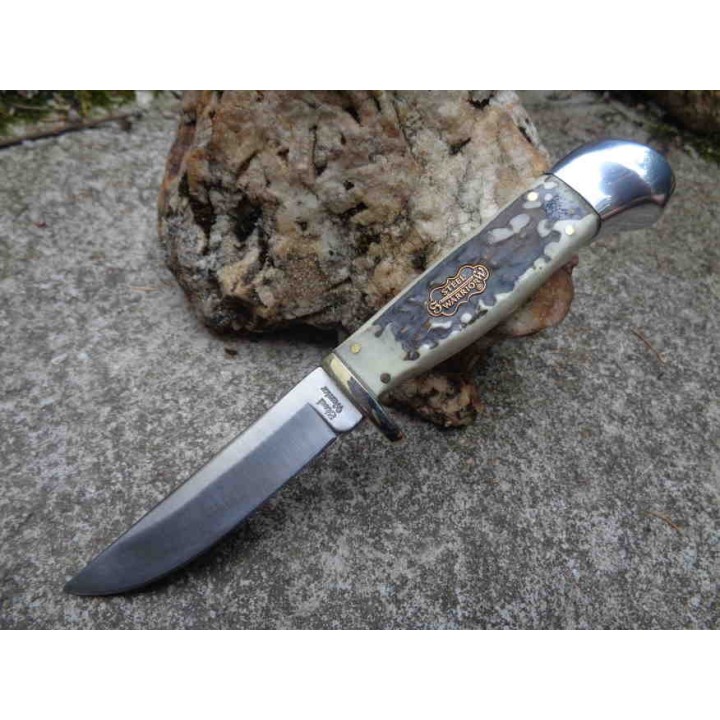 Couteau de Chasse Skinner Lame Acier 440 Manche Résine Etui Nylon FSW600SBR - Livraison Gratuite