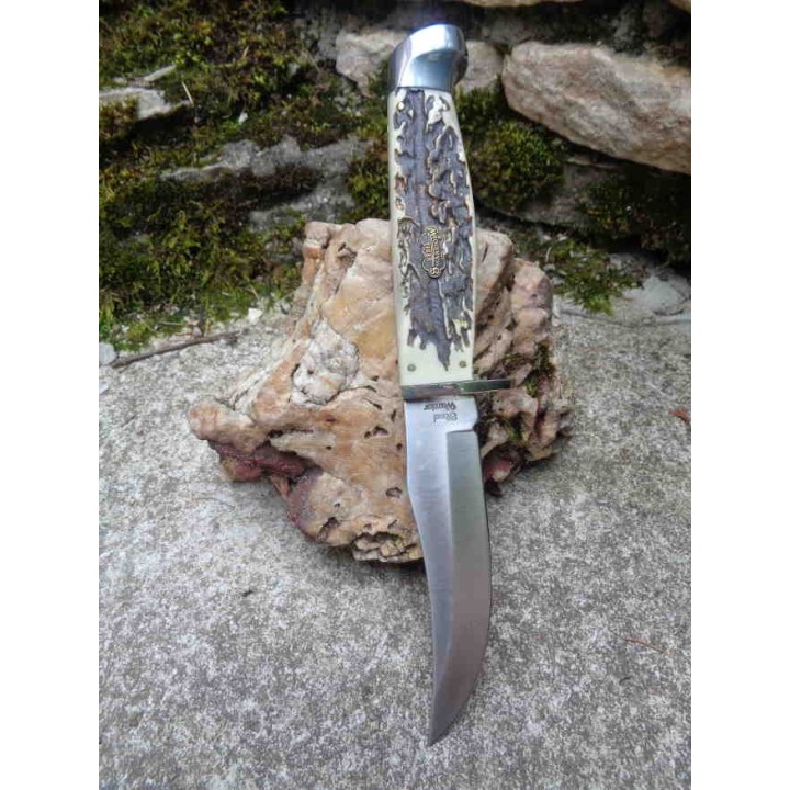 Couteau de Chasse Skinner Lame Acier 440 Manche Résine Etui Nylon Frost Cutlery FSW602SBR - Livraison Gratuite