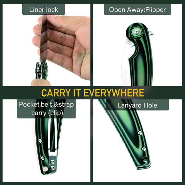 Couteau Shieldon Bulbasaur Lame Sandvik 14C28N Manche G10 IKBS Linerlock Clip SHI9061GM - Livraison Gratuite