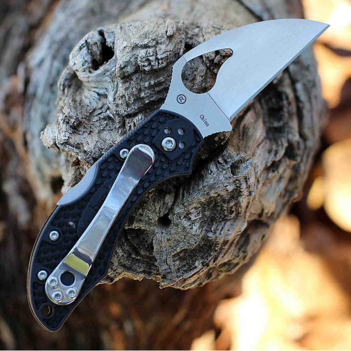 Couteau Spyderco Byrd Robin 2 Lightweight Lame Acier 8Cr13MoV Wharncliffe Manche FRN Lockback BY10PBKWC2 - Livraison Gratuite