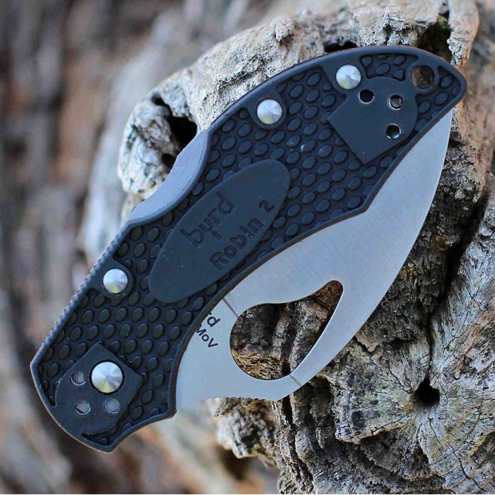 Couteau Spyderco Byrd Robin 2 Lightweight Lame Acier 8Cr13MoV Wharncliffe Manche FRN Lockback BY10PBKWC2 - Livraison Gratuite
