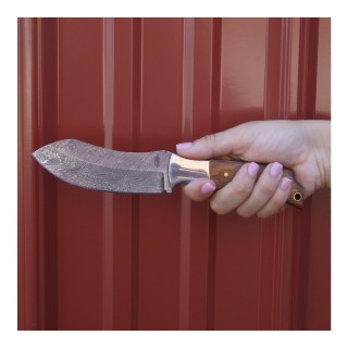 Couteau BucknBear Recurve Wood Hunter Lame Damas Manche Bois Etui Cuir BNB24124 - Livraison Gratuite