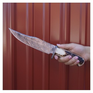 Couteau BucknBear Kings Stag Bowie Lame Acier Damas 256 Couches Manche Bois de Cerf Etui Cuir BNB123213 - Livraison Gratuite