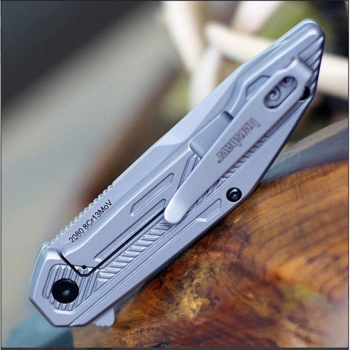 Couteau Kershaw Terran A/O Lame Acier 8Cr13MoV Manche Acier Framelock Clip KS2080 - Livraison Gratuite