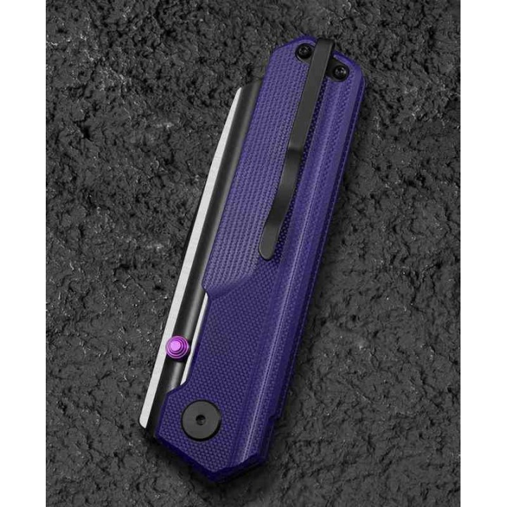 Couteau Bestech Tardis Purple Manche G10 Lame Acier D2 Black/Satin IKBS Linerlock Clip BTKG54B - Livraison Gratuite