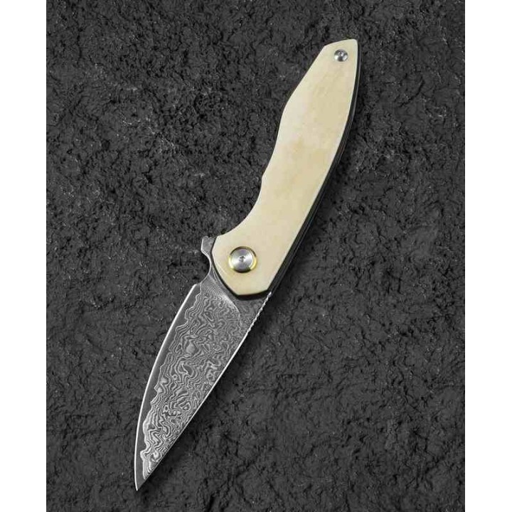 Couteau Bestech Bambi Damas Lame Drop Point Manche Ox Bone Linerlock Etui Cuir BTKL08B - Livraison Gratuite