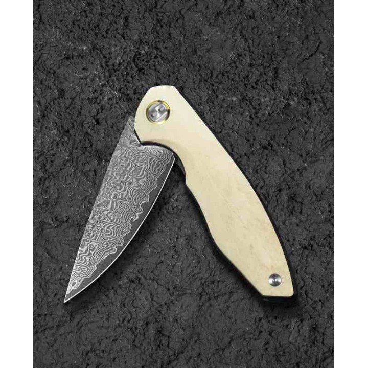Couteau Bestech Bambi Damas Lame Drop Point Manche Ox Bone Linerlock Etui Cuir BTKL08B - Livraison Gratuite