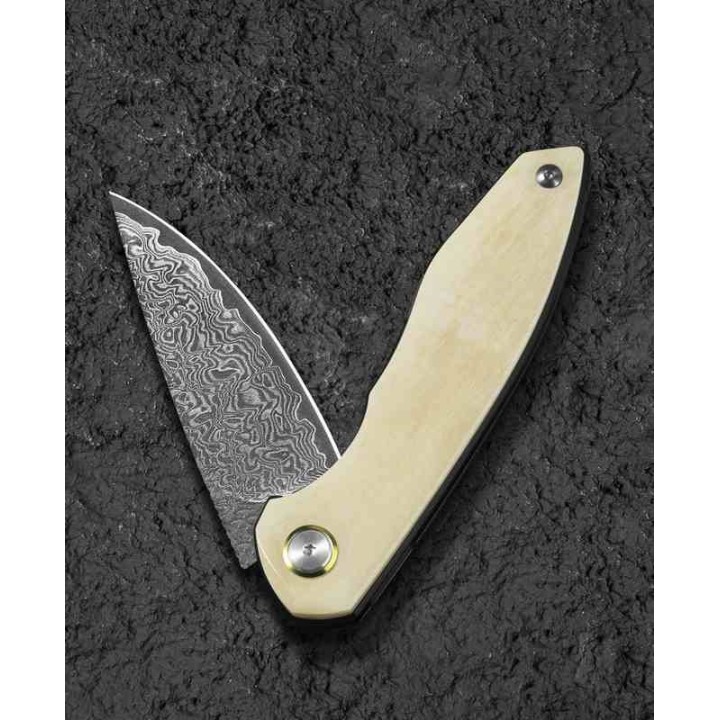 Couteau Bestech Bambi Damas Lame Drop Point Manche Ox Bone Linerlock Etui Cuir BTKL08B - Livraison Gratuite