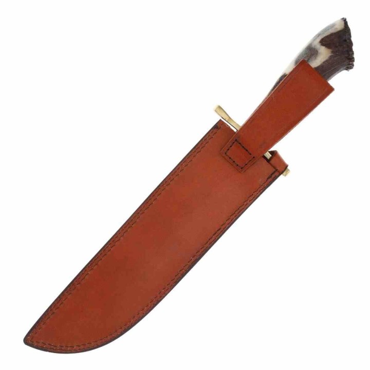 ﻿Couteau Bowie Davy Crockett Rough Ryder Crown Stag Lame Acier Inox Manche Bois de Cerf Etui Cuir RR2590 - Livraison Gratuite