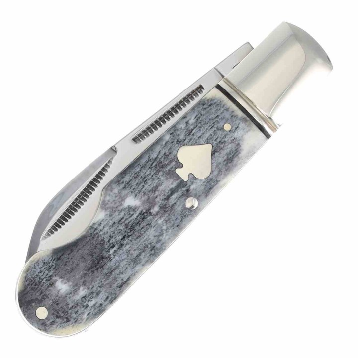 Couteau Rough Ryder Easy Open Blk Appaloosa Lame Acier 440 Manche Os Slip Joint RR2486 - Livraison Gratuite