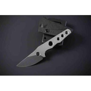 Couteau Petrified Fish Bison Lame Acier 14C28N Gray SW Manche Acier Etui Kydex Tek-Lok Clip PFKE13GAW - Livraison Gratuite
